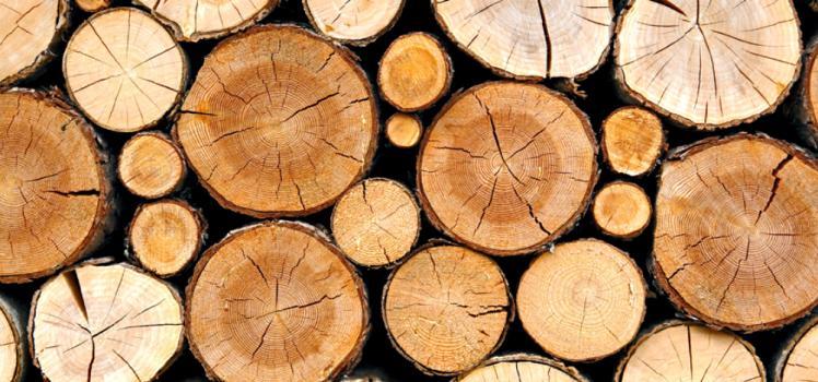 Бизнес на спилах: продажа древесного спила, как открыть Куплю заготовку под поддоны, ищу тарную дощечку и т